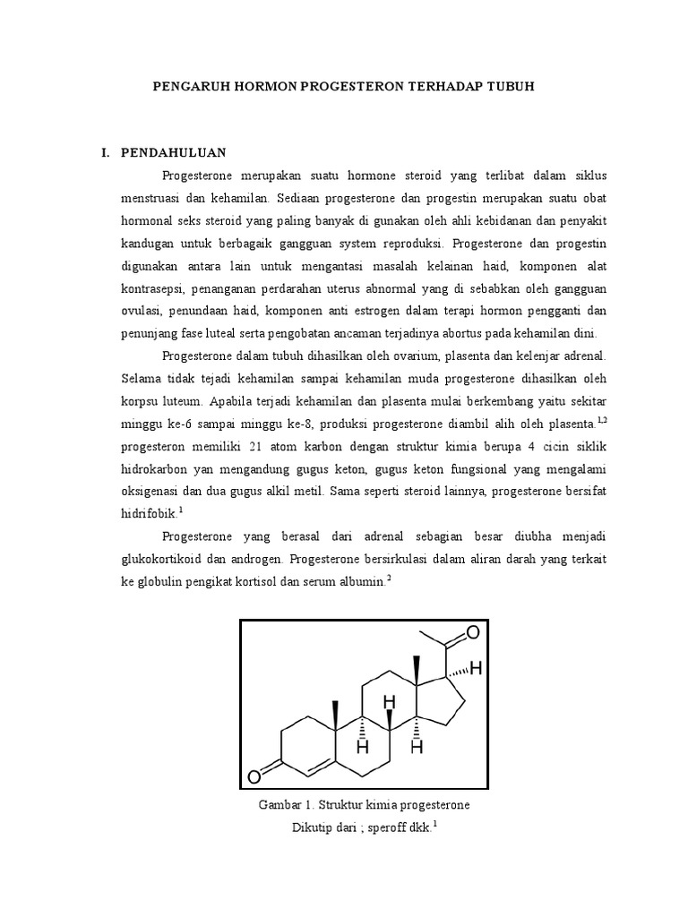 Pengaruh Hormon Terhadap Masalah Jerawat Dewasa