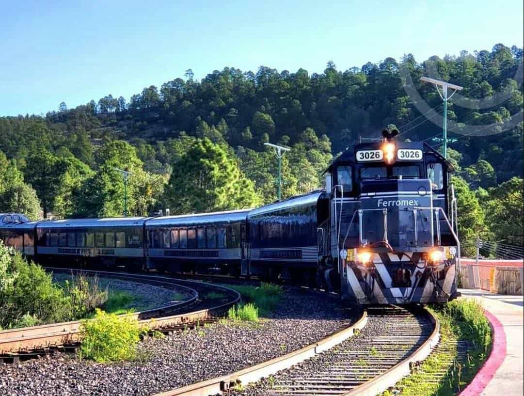 Tren Kecantikan Eco-Friendly - Produk Hijau Semakin Diminati