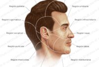 Cara Susun Koleksi Skincare Supaya Lebih Praktikal