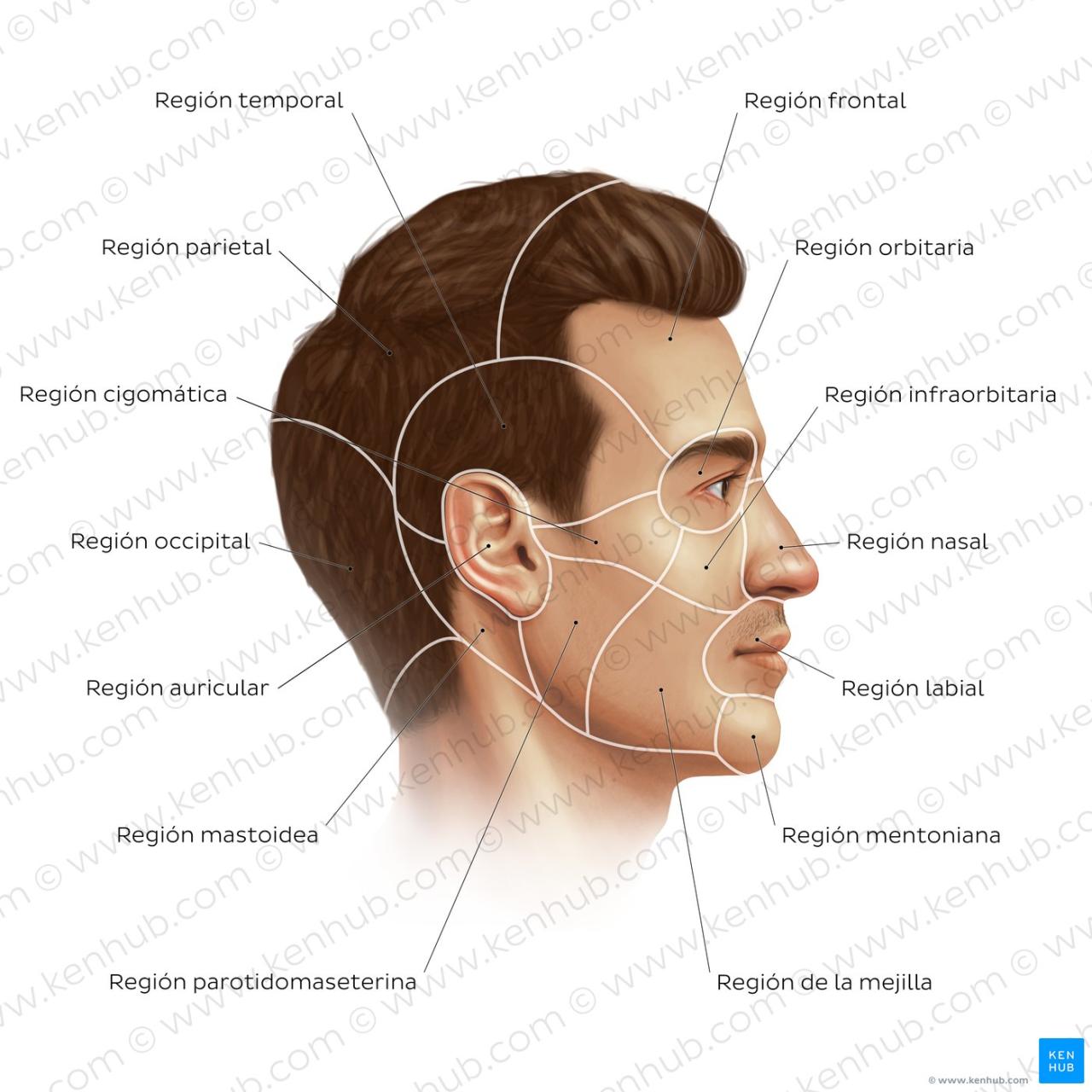Cara Susun Koleksi Skincare Supaya Lebih Praktikal